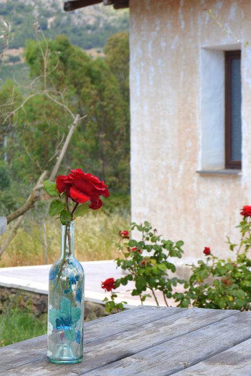 Agriturismo Rubinu Galtellì Chambre photo