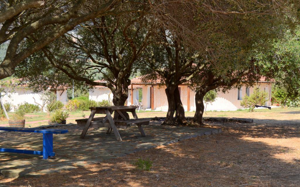 Agriturismo Rubinu Galtellì Extérieur photo